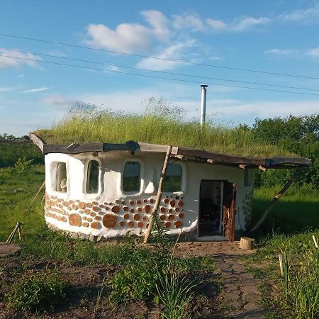 Villa Сказочный Дом Buki  Esterno foto