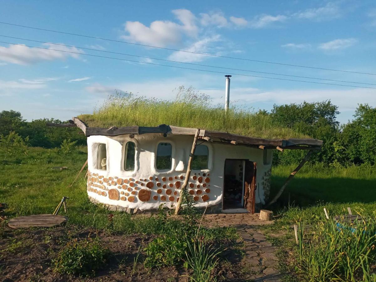 Villa Сказочный Дом Buki  Esterno foto